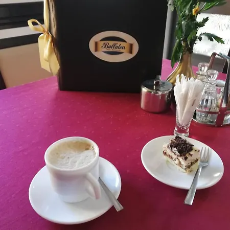 Motel-restauracja Ballaton 3*
