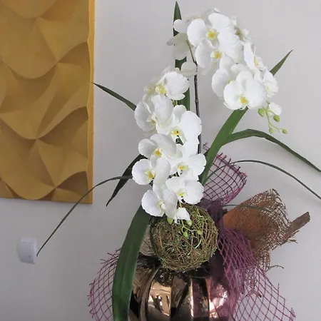 Motel-restauracja Ballaton Мотель 3*