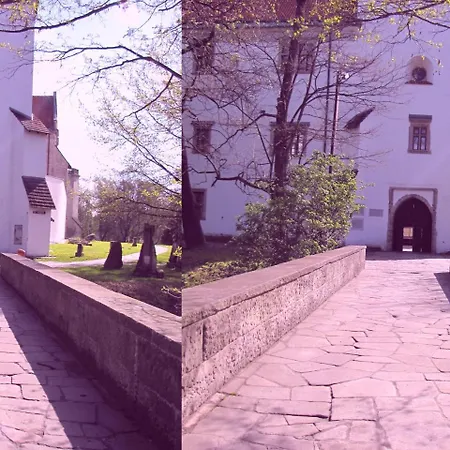 Motel-restauracja Ballaton Мотель Chustki